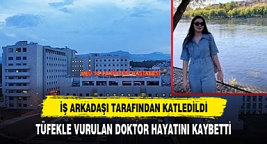 GENÇ DOKTORUN HAZİN SONU MESLEKTAŞI SONU OLDU