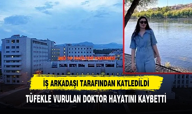 GENÇ DOKTORUN HAZİN SONU MESLEKTAŞI SONU OLDU