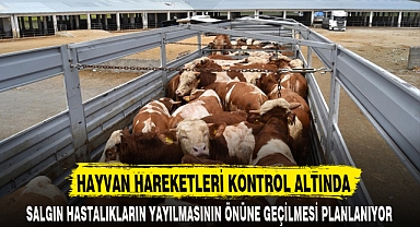 HAYVAN HAREKETLERİ KONTROL ALTINDA