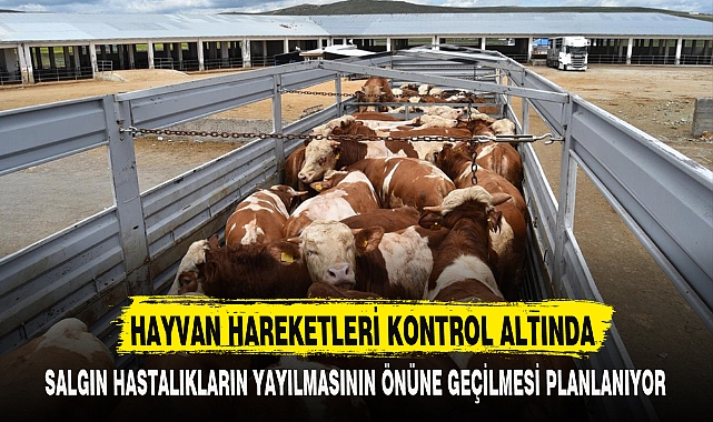 HAYVAN HAREKETLERİ KONTROL ALTINDA