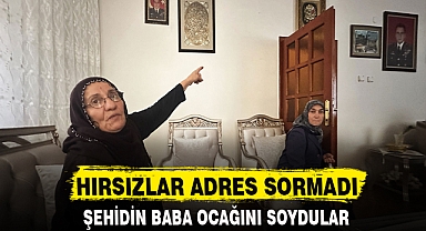 HIRSIZLAR ADRES SORMADI