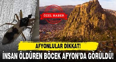 İNSAN ÖLDÜREN BÖCEK AFYON’DA GÖRÜLDÜ!