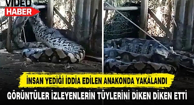 İNSAN YEDİĞİ İDDİA EDİLEN ANAKONDA YAKALANDI