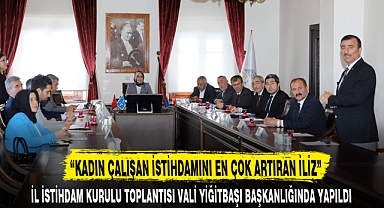 “KADIN ÇALIŞAN İSTİHDAMINI EN ÇOK ARTIRAN İLİZ”