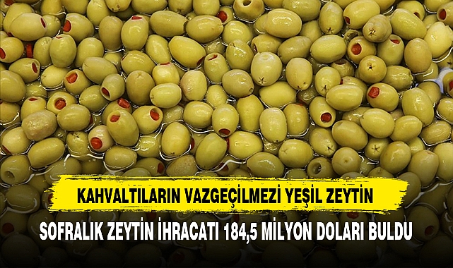 KAHVALTILARIN VAZGEÇİLMEZİ YEŞİL ZEYTİN