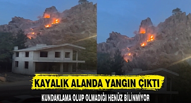 KAYALIK ALANDA YANGIN ÇIKTI