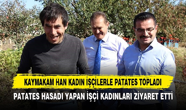 KAYMAKAM HAN KADIN İŞÇİLERLE PATATES TOPLADI