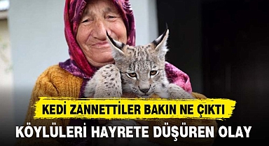 KEDİ ZANNETTİLER BAKIN NE ÇIKTI