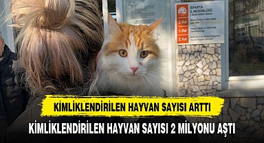 Kimliklendirilen ev hayvanı sayısı 2 milyonu aştı