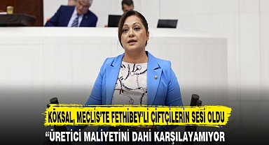 KÖKSAL, MECLİS’TE FETHİBEY’Lİ ÇİFTÇİLERİN SESİ OLDU