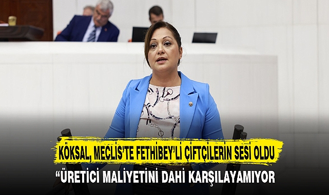 KÖKSAL, MECLİS’TE FETHİBEY’Lİ ÇİFTÇİLERİN SESİ OLDU