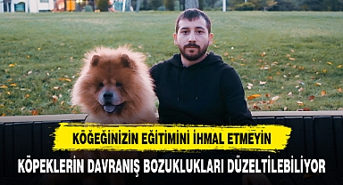 Köpeğinizin Eğitimini İhmal Etmeyin