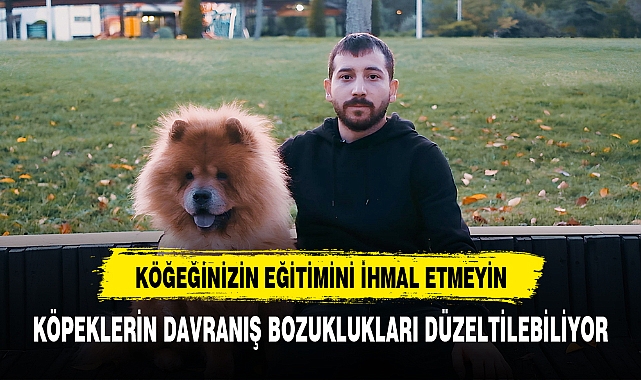 Köpeğinizin Eğitimini İhmal Etmeyin