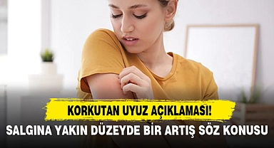 KORKUTAN UYUZ AÇIKLAMASI: "SALGINA YAKIN DÜZEYDE BİR ARTIŞ SÖZ KONUSU"