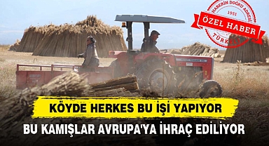 AFYONDAKİ KÖYDE HERKES BU İŞİ YAPIYOR
