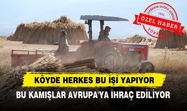 AFYONDAKİ KÖYDE HERKES BU İŞİ YAPIYOR