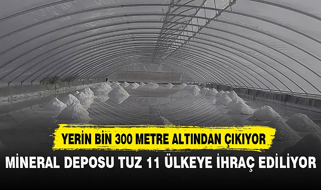 MİNERAL DEPOSU TUZ 11 ÜLKEYE İHRAÇ EDİLİYOR