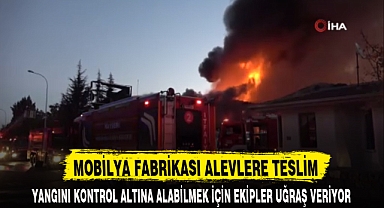 MOBİLYA FABRİKASI ALEVLERE TESLİM