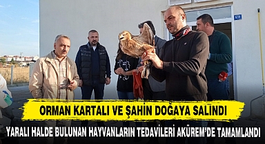 ORMAN KARTALI VE ŞAHİN DOĞAYA SALINDI