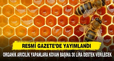 RESMİ GAZETE’DE YAYIMLANDI
