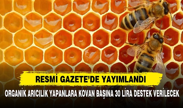 RESMİ GAZETE’DE YAYIMLANDI