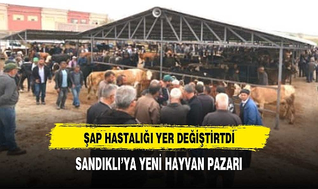 ŞAP HASTALIĞI YER DEĞİŞTİRTDİ
