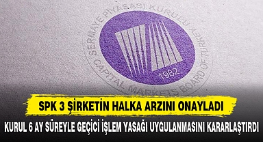 SPK 3 ŞİRKETİN HALKA ARZINI ONAYLADI