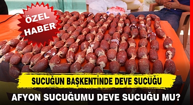 SUCUĞUN BAŞKENTİNDE DEVE SUCUĞU