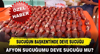 SUCUĞUN BAŞKENTİNDE DEVE SUCUĞU