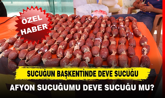 SUCUĞUN BAŞKENTİNDE DEVE SUCUĞU