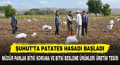 ŞUHUT’TA PATATES HASADI BAŞLADI