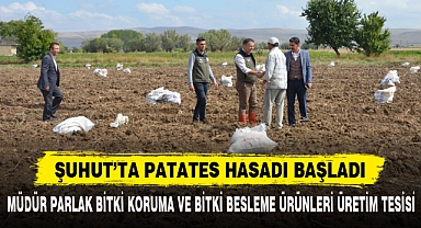 ŞUHUT’TA PATATES HASADI BAŞLADI