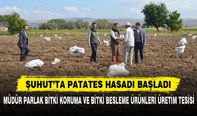 ŞUHUT’TA PATATES HASADI BAŞLADI