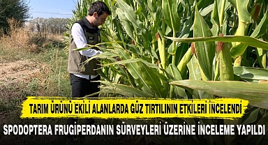 TARIM ÜRÜNÜ EKİLİ ALANLARDA GÜZ TIRTILININ ETKİLERİ İNCELENDİ