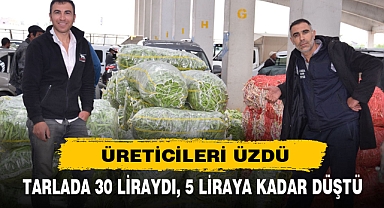 TARLADA 30 LİRAYDI 5 LİRAYA KADAR DÜŞTÜ