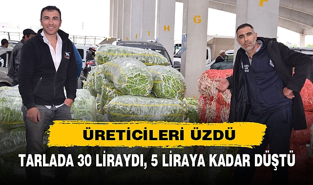 TARLADA 30 LİRAYDI 5 LİRAYA KADAR DÜŞTÜ