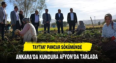 ANKARA'DA KUNDURA AFYON'DA TARLADA