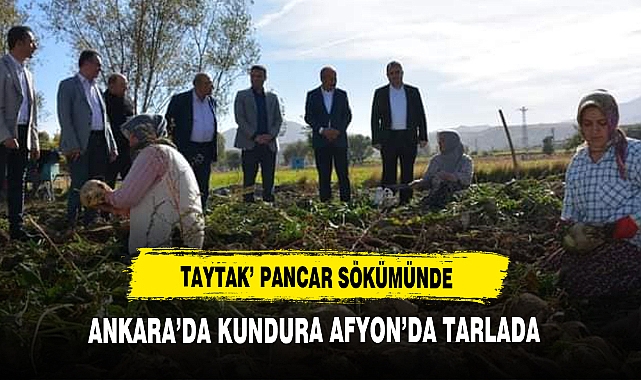 ANKARA'DA KUNDURA AFYON'DA TARLADA