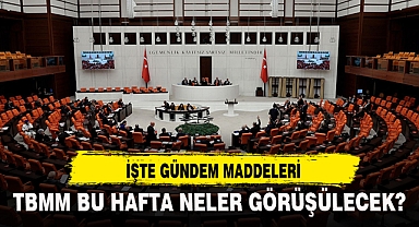 TBMM BU HAFTA NELER GÖRÜŞÜLECEK?