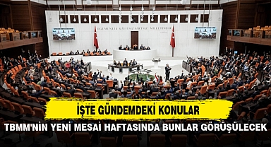 TBMM'NİN YENİ MESAİ HAFTASINDA BUNLAR GÖRÜŞÜLECEK