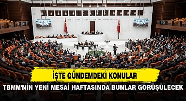 TBMM'NİN YENİ MESAİ HAFTASINDA BUNLAR GÖRÜŞÜLECEK