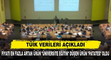 TÜİK VERİLERİ AÇIKLADI