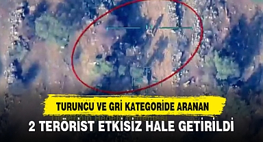 TURUNCU VE GRİ KATEGORİDE ARANAN 2 TERÖRİST ETKİSİZ HALE GETİRİLDİ