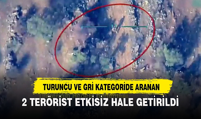 TURUNCU VE GRİ KATEGORİDE ARANAN 2 TERÖRİST ETKİSİZ HALE GETİRİLDİ