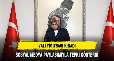 VALİ YİĞİTBAŞI KINADI !