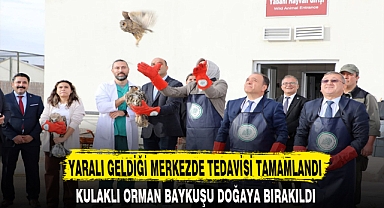 YARALI GELDİĞİ MERKEZDE TEDAVİSİ TAMAMLANDI