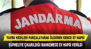 YAVRU KEDİLERİ PARÇALAYARAK ÖLDÜREN GENCE EV HAPSİ