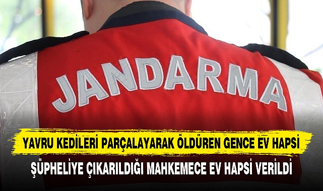 YAVRU KEDİLERİ PARÇALAYARAK ÖLDÜREN GENCE EV HAPSİ