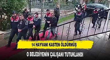 14 HAYVANI KASTEN ÖLDÜREN CANİ TUTUKLANDI
