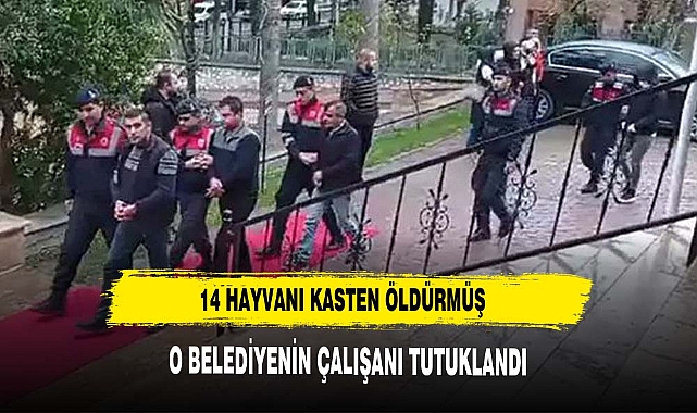 14 HAYVANI KASTEN ÖLDÜREN CANİ TUTUKLANDI